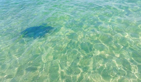 三角洲行动手游官网下载资格（给我《三角洲行动》手游的下载链接）